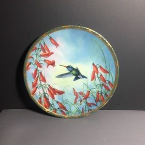Pickard broad billed hummingbird collectible plate